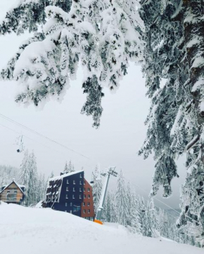 Apartmani Dvosjed, Jahorina